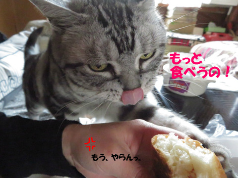 さぁっ、くりぇ!