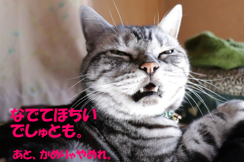 ねぇ。