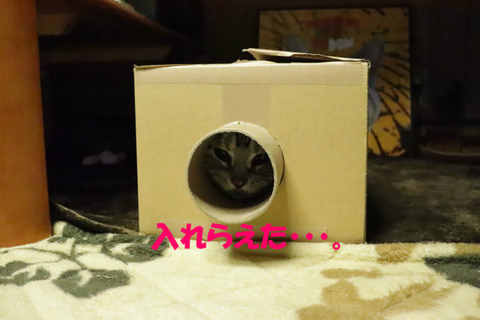 うぬぅ。