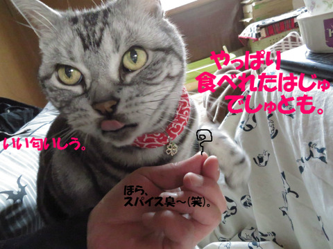 母ちゃんのうそつき。