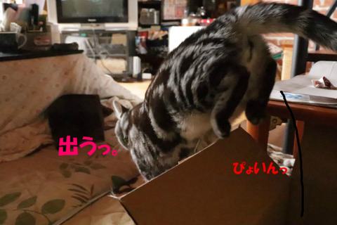 もぉいい。