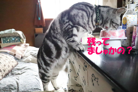 まだ匂いしう~。