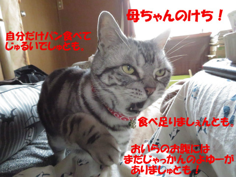 けっ!