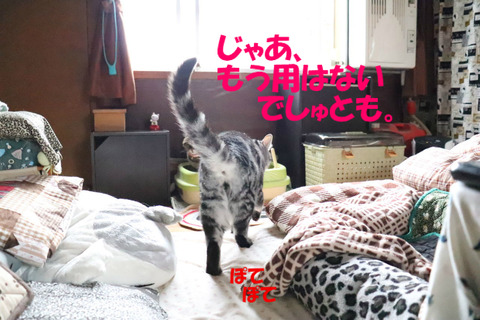 ふ~。