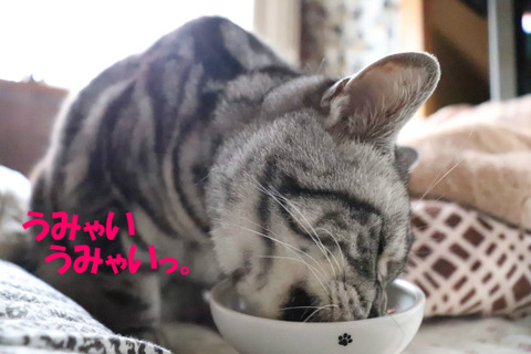 うみゃ~い♪