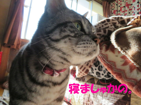 さて、と。