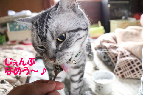 おいちいの、ちゅいてう~♪