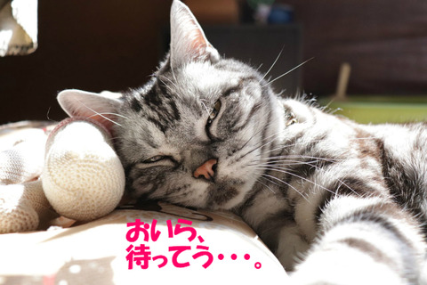 まだかな~。