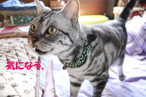 ねぇ、なに?