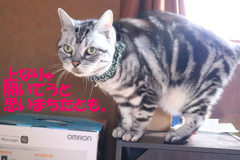 開いてましぇんなぁ。