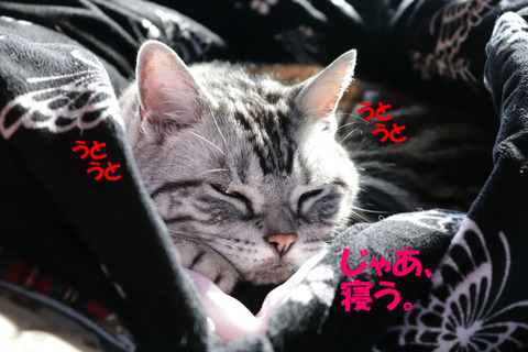 眠い・・・。