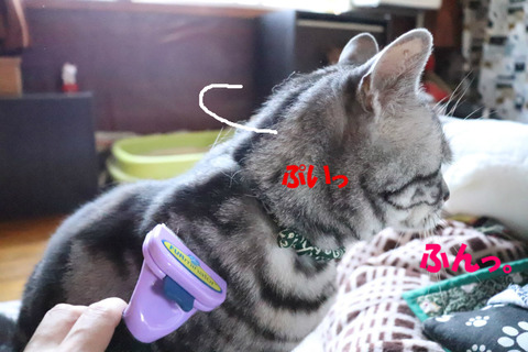 なんで?