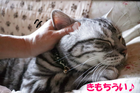 んふぅ。