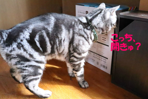 うーん。