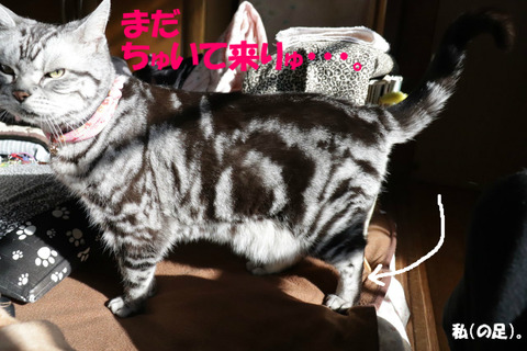 うぬぅ。