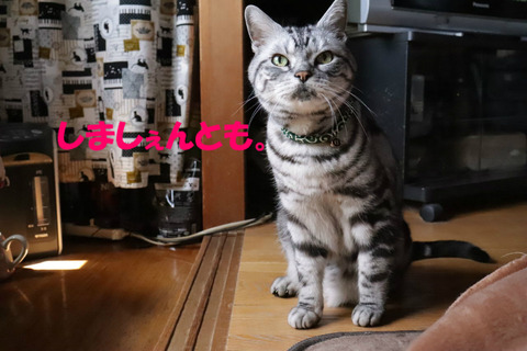 は?