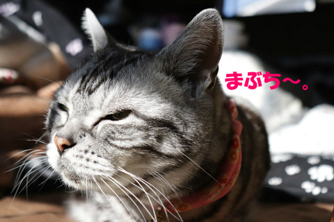 おひさま~。