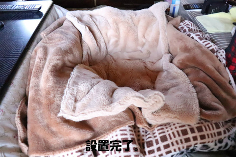 梵ベッド設置。