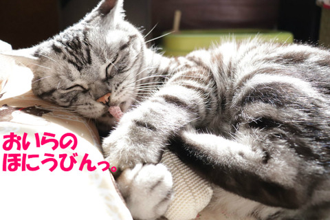 むちう~♪
