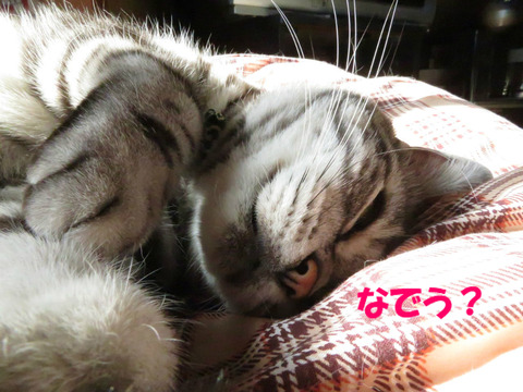 ねぇ。