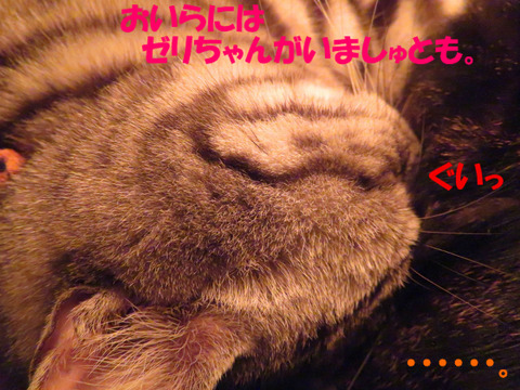 ふんっ、だ。
