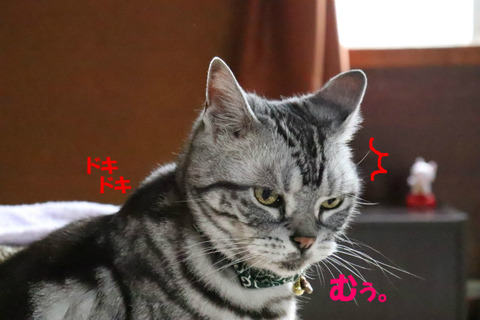なんかやだ。