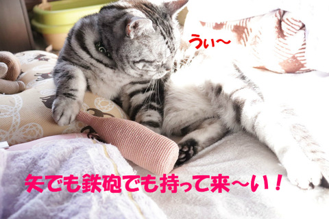 BlogPaint