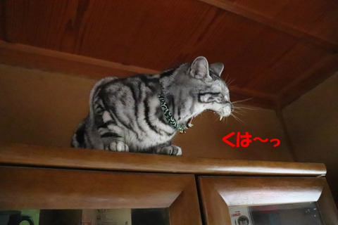 あ。
