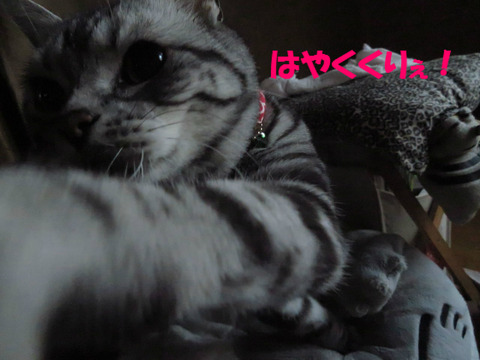 ごはん!