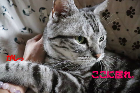 もう行っちゃやだ。
