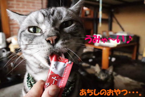 わーい♪
