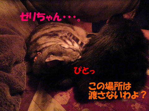 ん・・・。