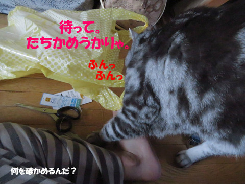 おいら、匂い嗅ぐの。