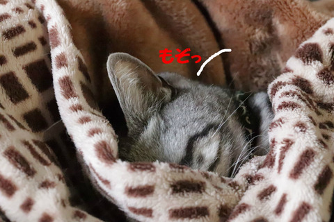 寝う。