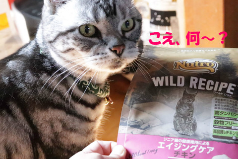 おいちいやちゅ?