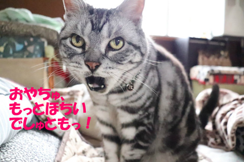 もっと!