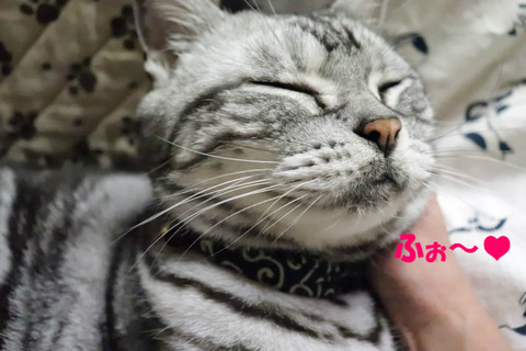 きもちうい~♪