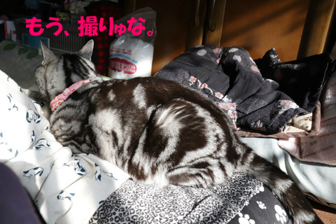 やめれ。