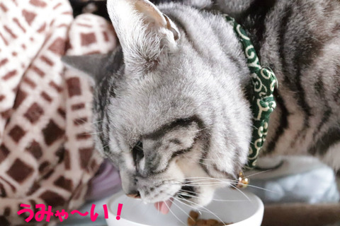 ひゃっほい♪