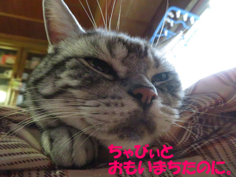 ふ~。