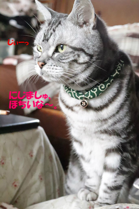 むぅ。