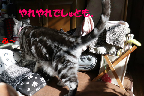ふ~。