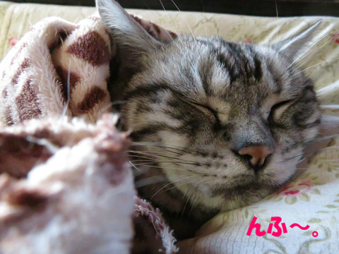 zzz
