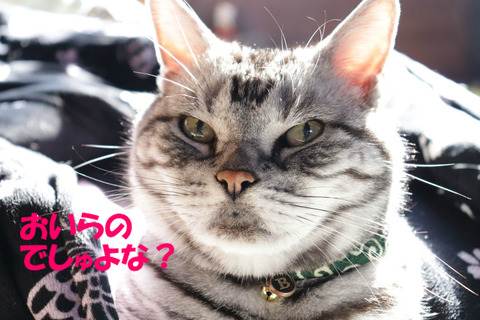 な?