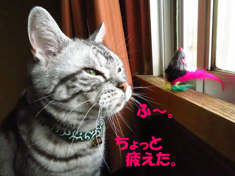 ふぅ。