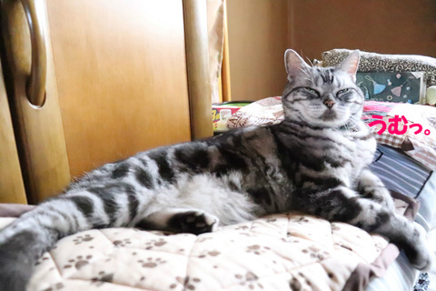 いい感じでしゅとも♪