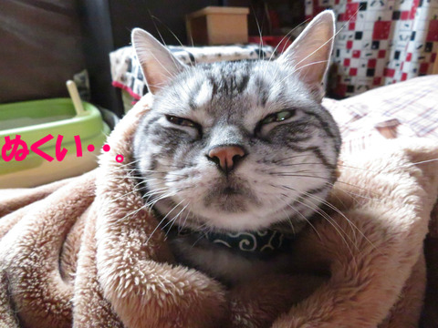うほぅ。