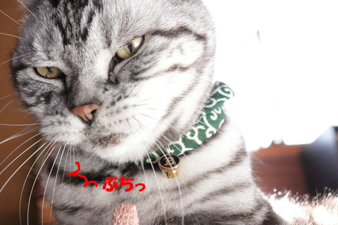 BlogPaint