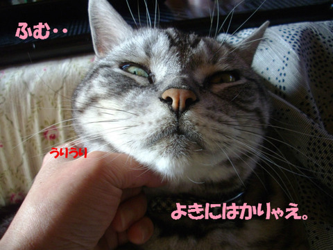 BlogPaint