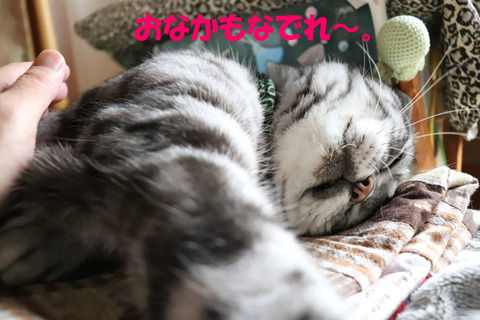 ほれ。